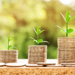 Growing your wealth